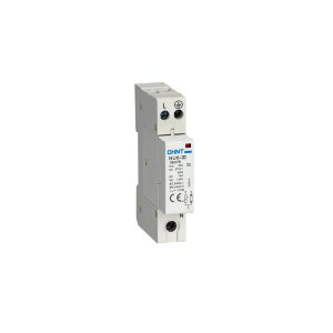 Protección baja tensión 2P Chint NU6-II 40/275