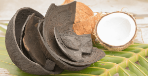 Carbon Concha de coco